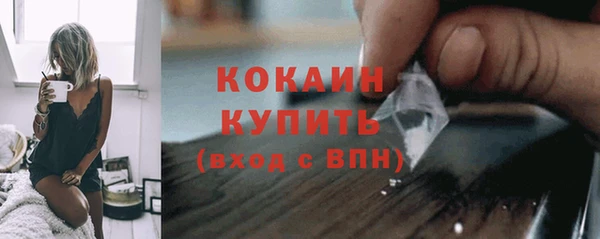 не бодяженный Горно-Алтайск