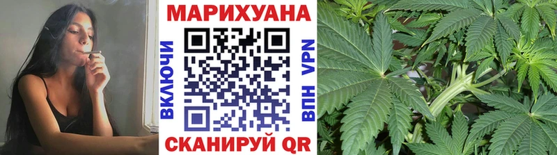 Шишки марихуана OG Kush закладка Жердевка